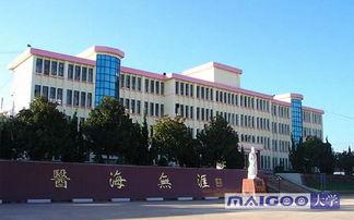 楚雄学校有哪些明星,楚雄学校明星风采掠影