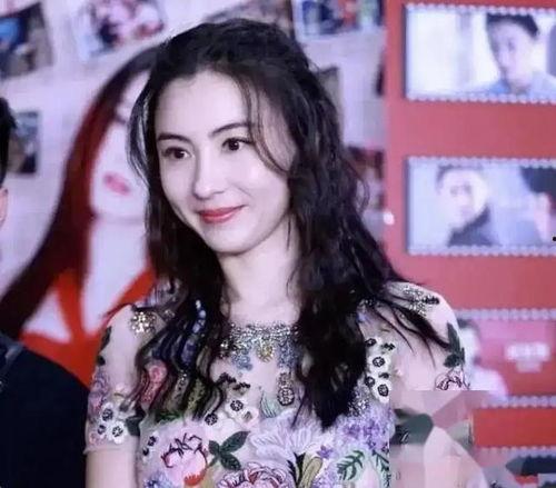 张柏芝无码哪里能看,张柏芝无码视频流出真相及观看途径